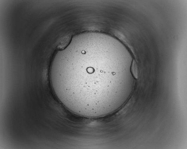 X0000089830249200707121646