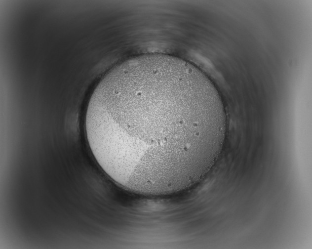 X0000089830250200707121646