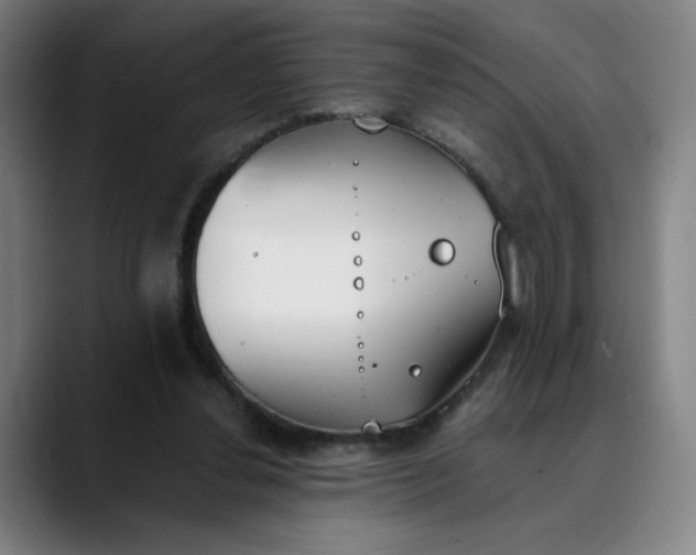 X0000089830252200707121646