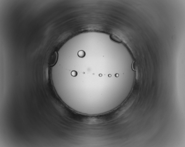 X0000089830253200707121646