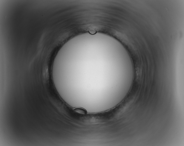 X0000089830254200707121646