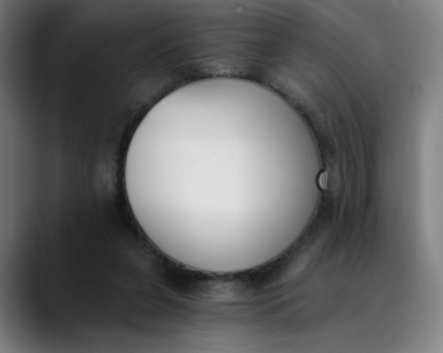 X0000089830255200707121646