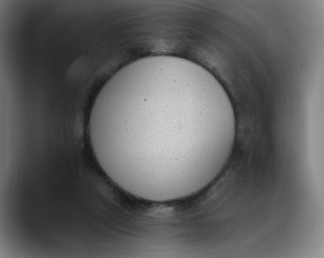 X0000089830257200707121646