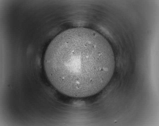 X0000089830258200707121646