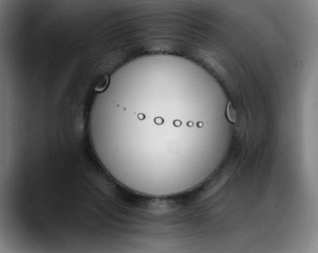 X0000089830261200707121646