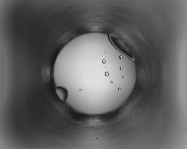 X0000089830262200707121646