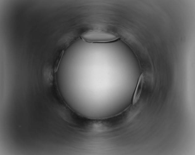 X0000089830264200707121646