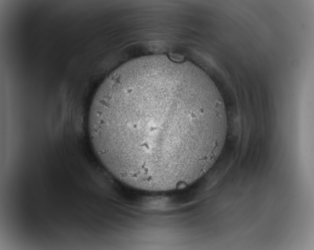 X0000089830266200707121646