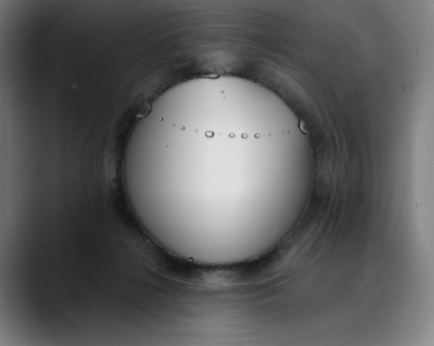 X0000089830268200707121646