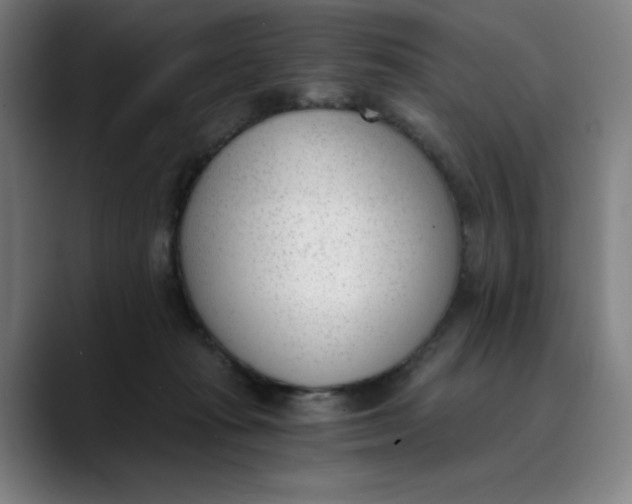 X0000089830269200707121646