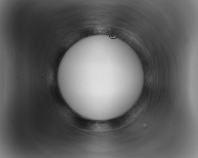 X0000089830270200707121646