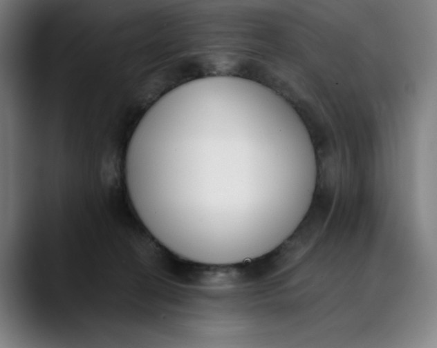 X0000089830274200707121646