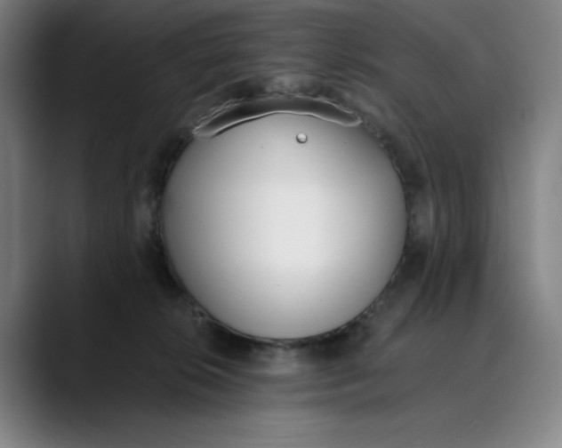 X0000089830276200707121646