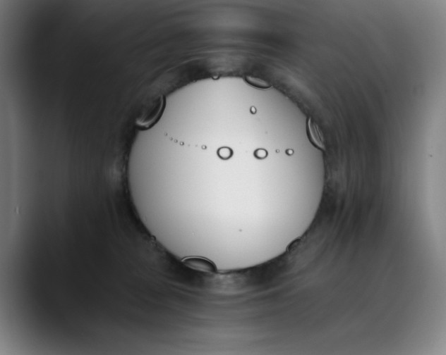 X0000089830277200707121646