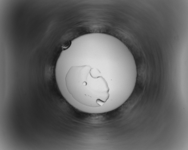 X0000089830278200707121646