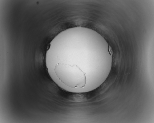 X0000089830279200707121646