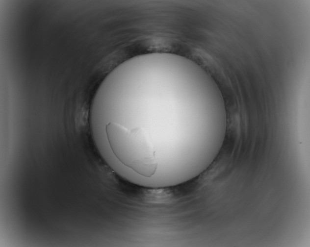 X0000089830281200707121646