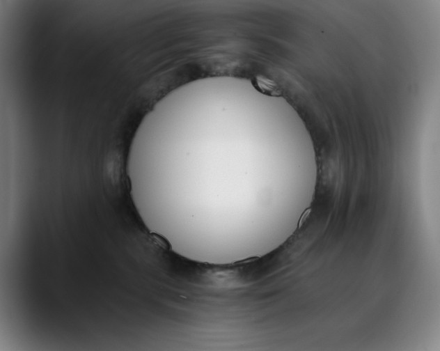 X0000089830283200707121646