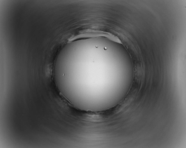 X0000089830284200707121646