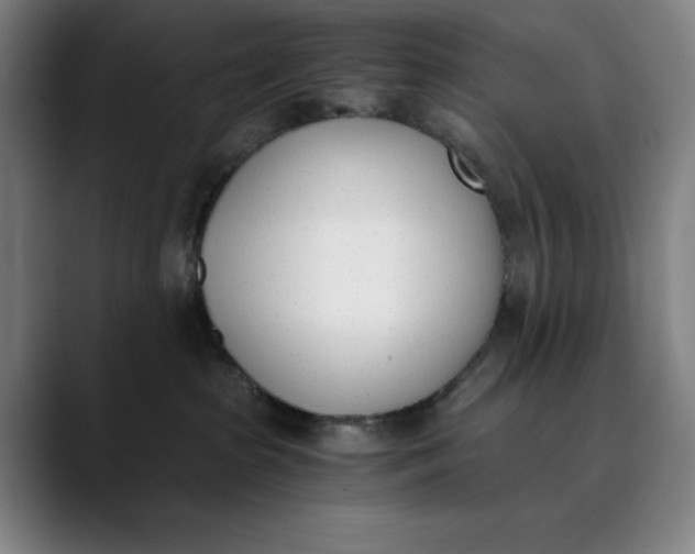 X0000089830285200707121646