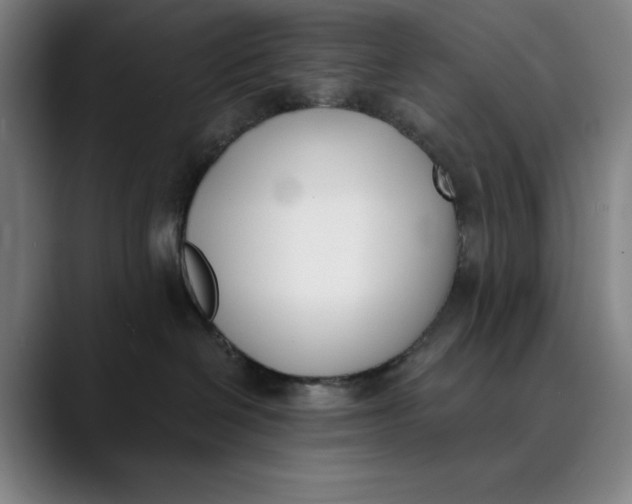 X0000089830286200707121646