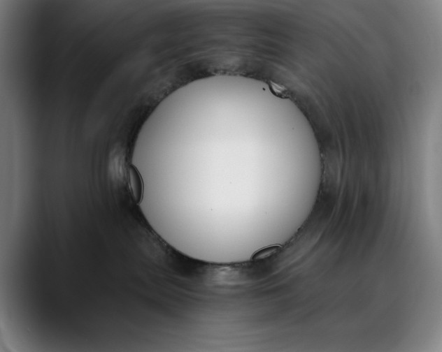 X0000089830287200707121646