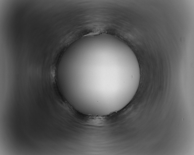 X0000089830288200707121646