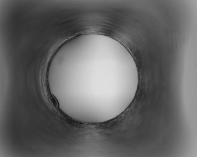 X0000089830289200707121646