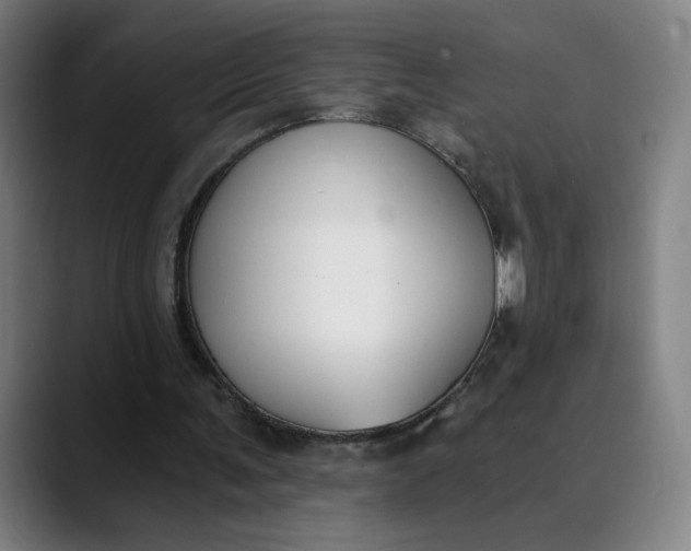 X0000089830291200707121646