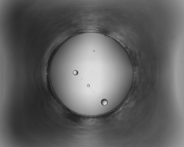 X0000089830293200707121646