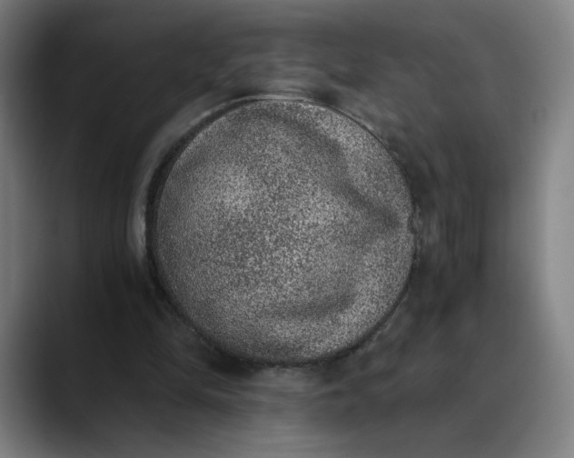 X0000089830294200707121646