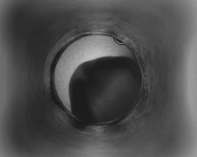 X0000089830295200707121646