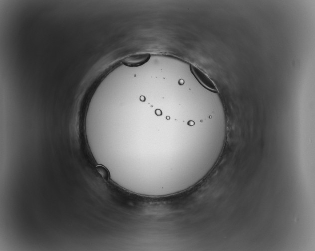 X0000089830296200707121646