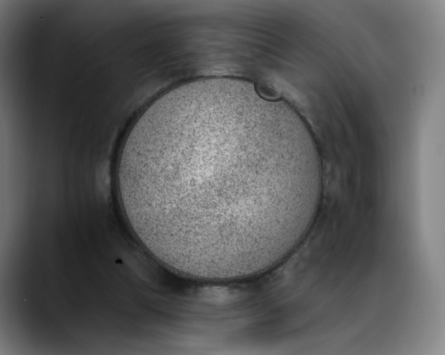 X0000089830298200707121646