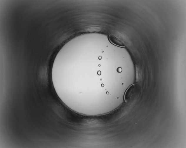 X0000089830300200707121646