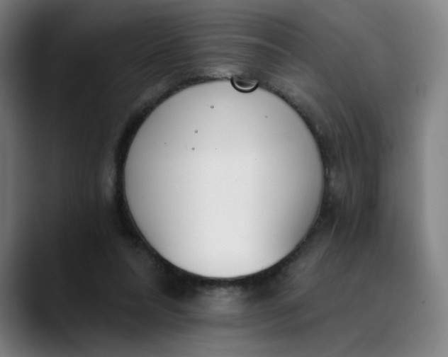 X0000089830304200707121646