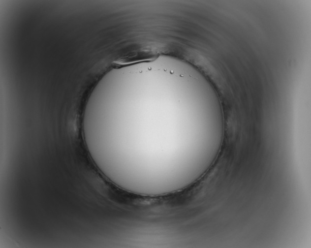 X0000089830305200707121646