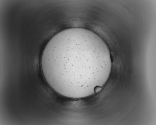 X0000089830306200707121646