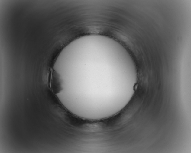 X0000089830307200707121646