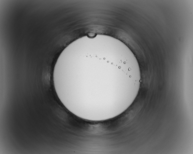 X0000089830309200707121646