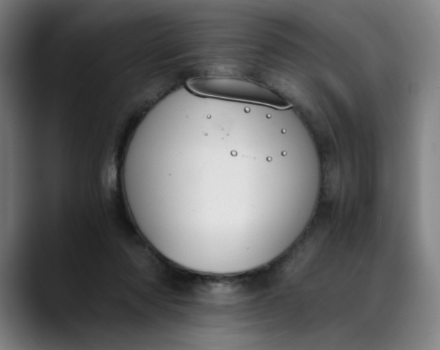 X0000089830310200707121646