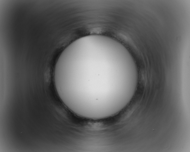 X0000089830311200707121645