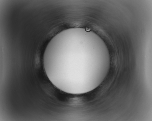 X0000089830312200707121645