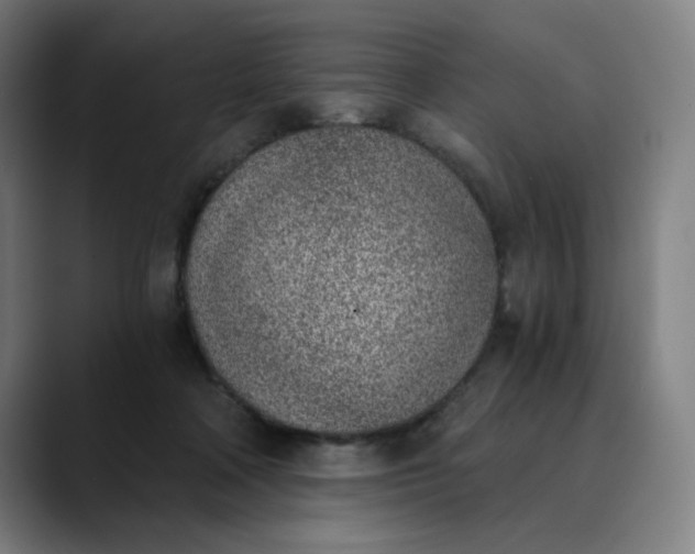 X0000089830314200707121645