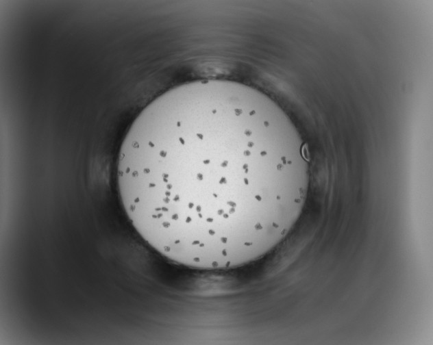 X0000089830315200707121645