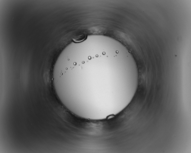 X0000089830317200707121645