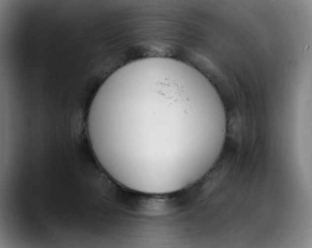 X0000089830318200707121645