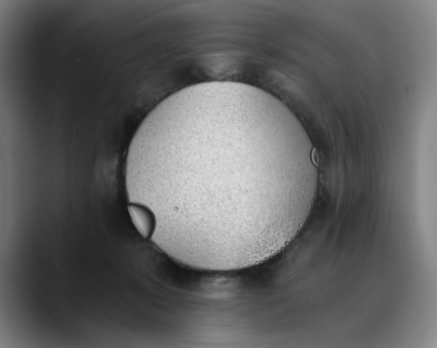 X0000089830319200707121645