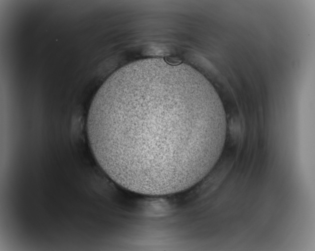 X0000089830322200707121645