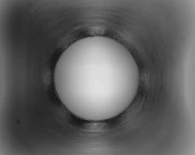 X0000089830323200707121645